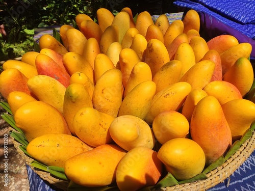 Rainbow mango or Mahachanok is a Local Thai mango, colorful and fragrant. Red and Yellow mango with isolated on basket. top view