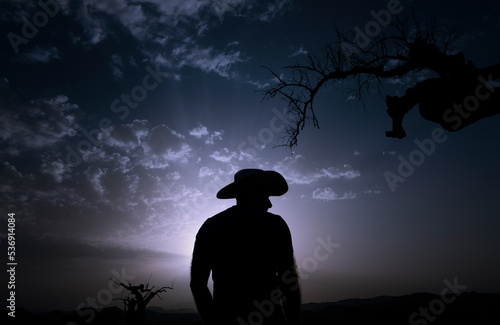 Silhouette of adult man standing on desert at night. Almeria, Spain