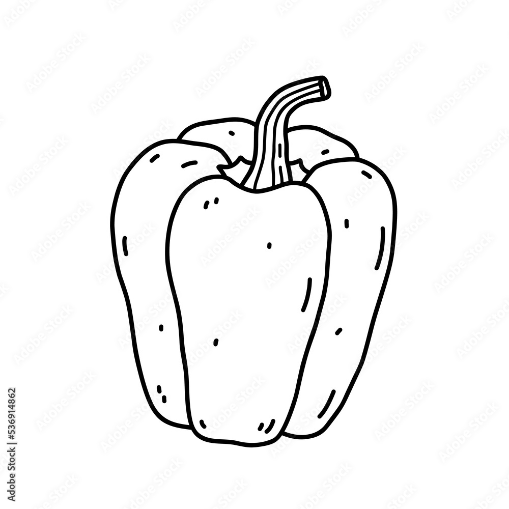 Bell pepper isolated on white background. Organic healthy food. Vector hand-drawn illustration in doodle style. Perfect for cards, logo, decorations, recipes, various designs. Bell pepper isolated on white background. Organic healthy food. Vector hand-drawn illustration in doodle style. Perfect for cards, logo, decorations, recipes, various designs.