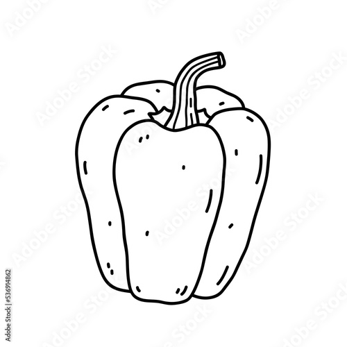 Bell pepper isolated on white background. Organic healthy food. Vector hand-drawn illustration in doodle style. Perfect for cards, logo, decorations, recipes, various designs.