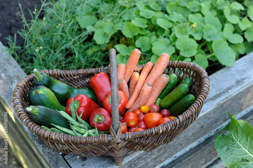Wicker basket filled with homegrown vegetables