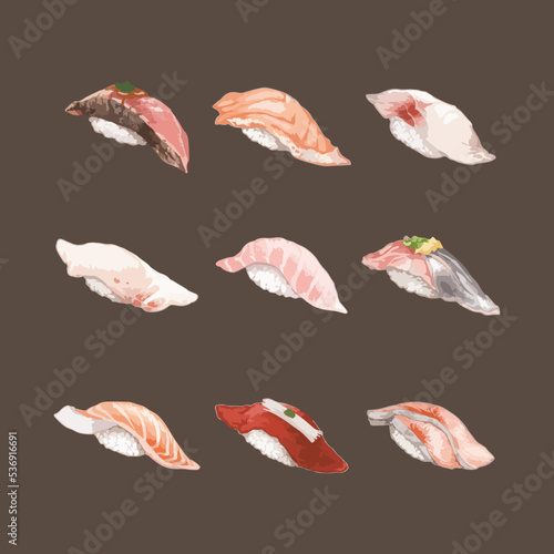 Set of Watercolor Sushi Vector Illustration