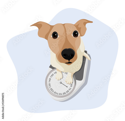 Flat illustration dog activity and person people. editable color fill. let s make your design easier