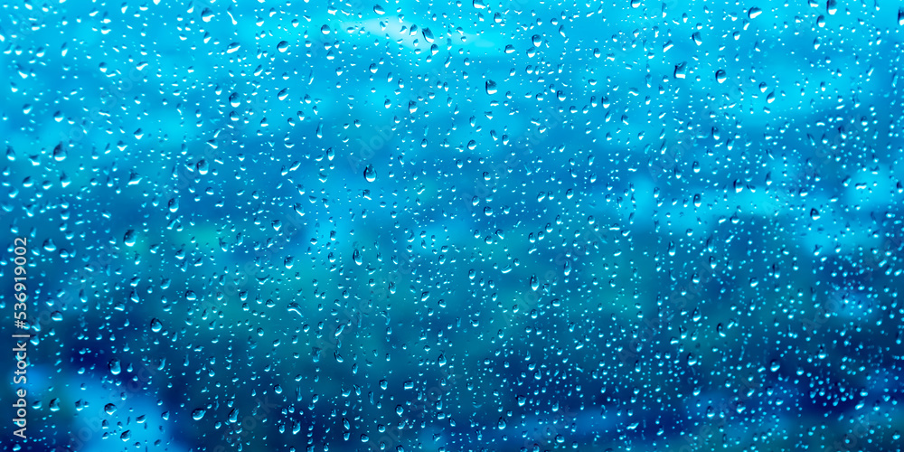 water drops on the window water drops on the window