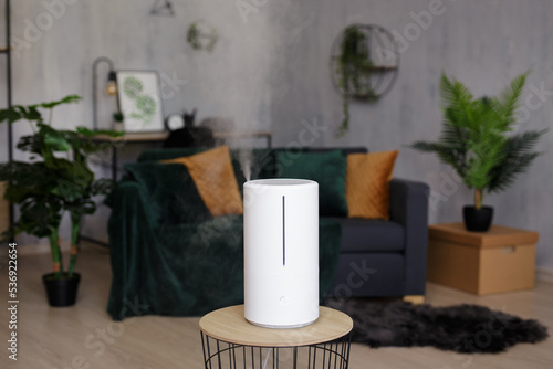 modern air humidifier in living room with scandinavian interior
