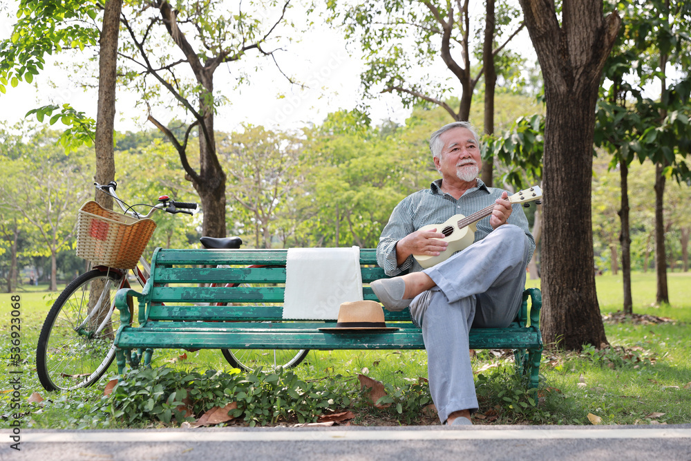 Fototapeta premium Happy smiling asian senior man with beard sitting on bench playing ukulele and singing a song in garden park outdoor. Musical and relaxation makes elder male happiness. Health care lifestyle concept.