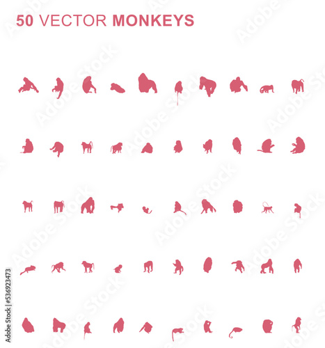 50 Monkeys - Vector