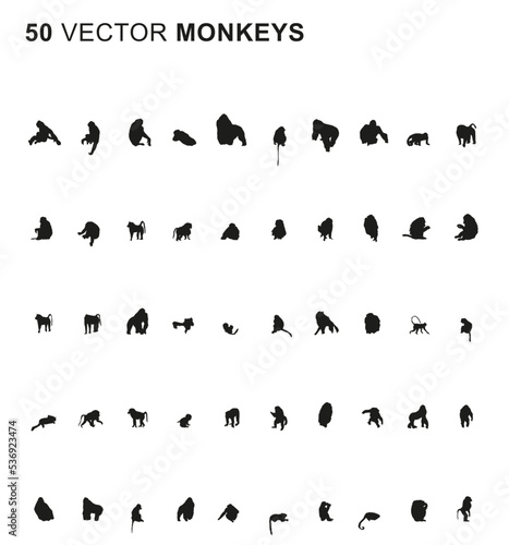 50 Monkeys - Vector