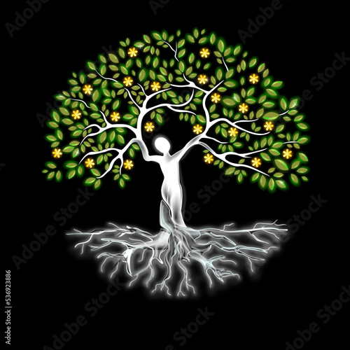 Light shining tree with leaf roots and flower human body man silhouette on the black background isolated illustration abstract design