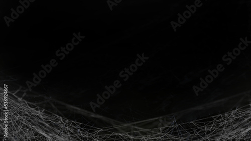 Real creepy spider webs silhouette isolated on black background in the night - Halloween template