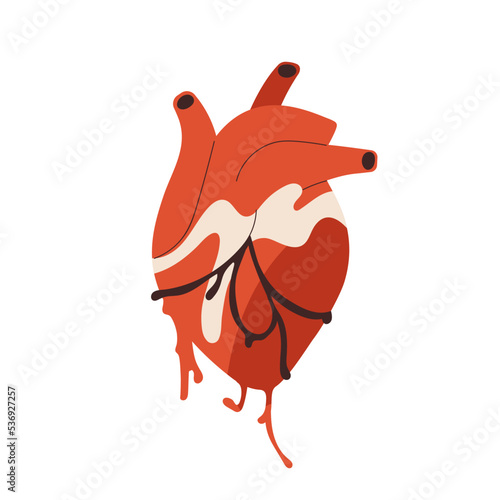 Real heart, realistic internal human organ with blood, aorta, artery. Creepy cardiovascular anatomy. Anatomical flat graphic vector illustration isolated on white background
