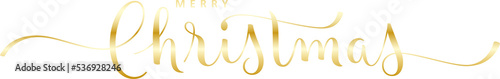 MERRY CHRISTMAS metallic gold brush lettering with leaf motifs on transparent background