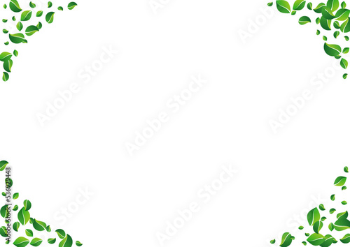 Forest Foliage Blur Vector White Background.