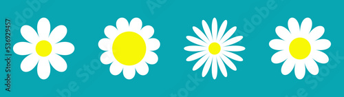 Daisy Camomile set line. Four white chamomile icon. Cute round flower plant collection. Love card symbol. Growing concept. Flat design. Isolated. Blue background.