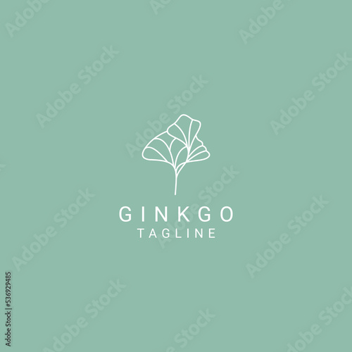 Ginkgo logo desing icon vector