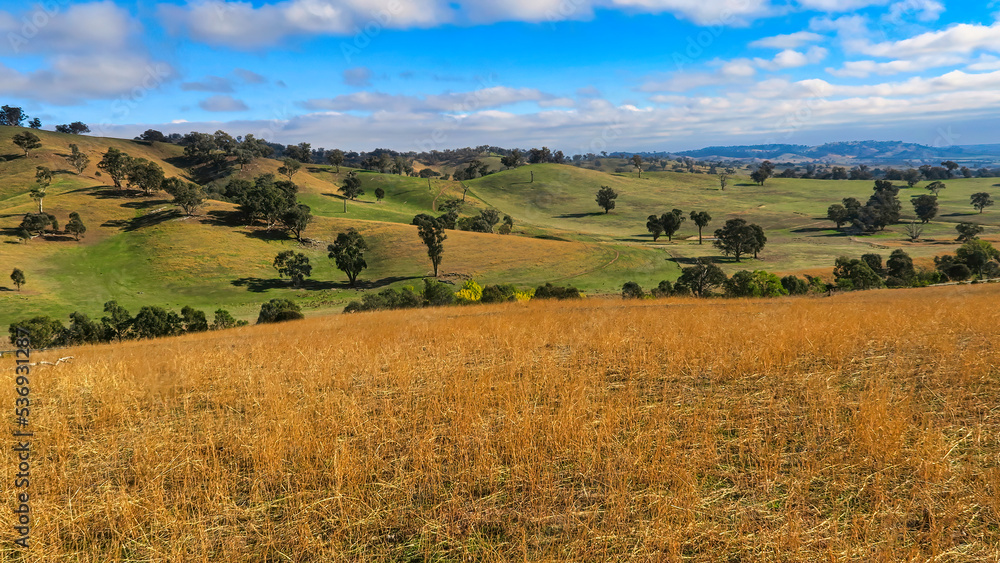 The Beautiful Colours and Rolling Hills Around Mt Adrah NSW