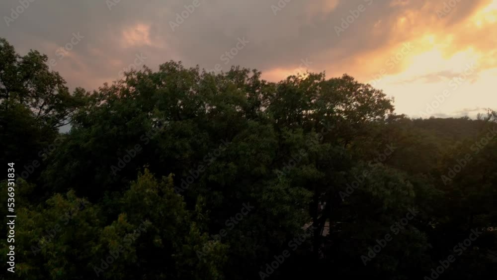 Rising through the treetops in Beachwood-Bluffton. Rising through the treetops in Beachwood-Bluffton.