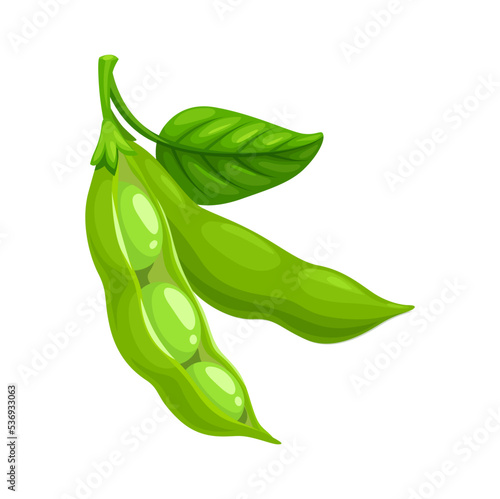 Isolated ripe soybeans pod with green leaf. Soya raw seed, vegan food protein ingredient, cartoon vector ripe legume bean. Diet natural nutrition