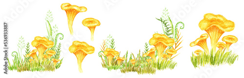 Watercolor Chanterelle Mushroom with grass hand drawn illustration isolated on white background. Edible mushrooms yellow chanterelle vegetarianism. Golden egg Mushroom