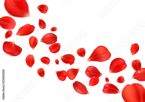 Flying rose petals background. Flower falling petals, Valentine celebration realistic background or backdrop, spring soft blossom, mother day holiday vector wallpaper with red rose flying bloom