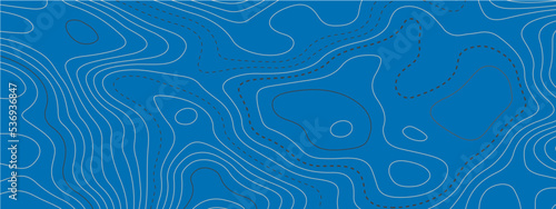 The stylized colorful blue and white wavy abstract topographic map contour, lines Pattern background. Topographic map and landscape terrain texture grid. Wavy banner and color geometric form. 