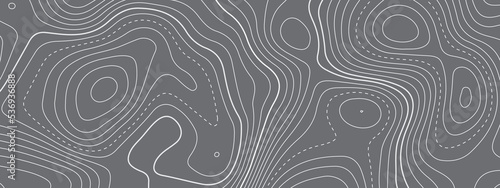 Black and white wave abstract topographic map contour, lines Pattern background. Topographic map and landscape terrain texture grid. Wavy banner and color geometric form. Vector illustration.