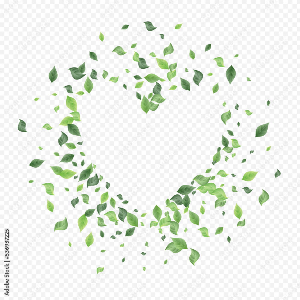 Olive Foliage Ecology Vector Transparent Olive Foliage Ecology Vector Transparent