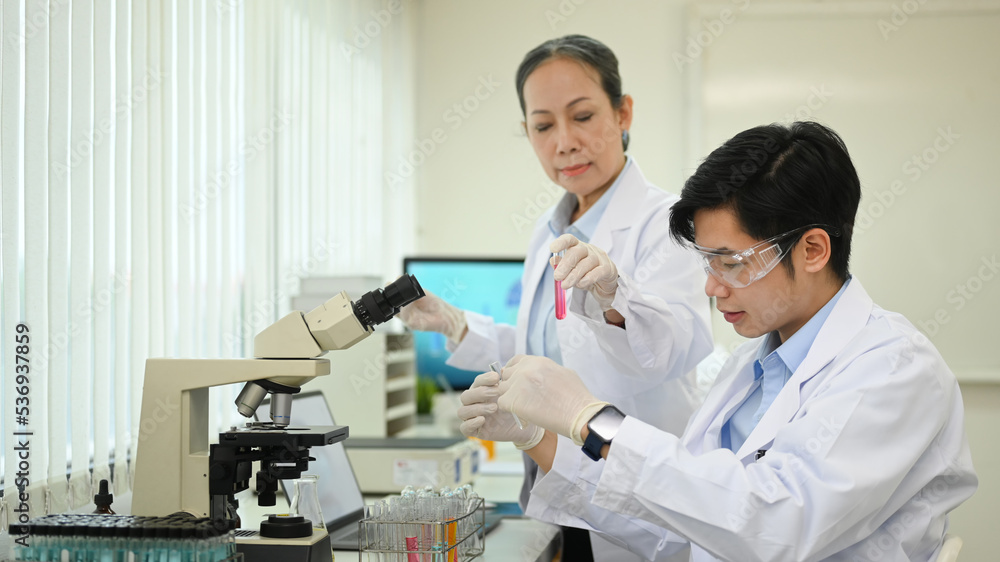 Middle age female scientist and laboratory assistant conducting experiment with test tubes and microscope slides in laboratory Middle age female scientist and laboratory assistant conducting experiment with test tubes and microscope slides in laboratory
