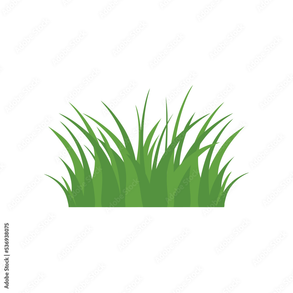 Green Grass Isolated on White Background,flowers Green Grass Isolated on White Background,flowers