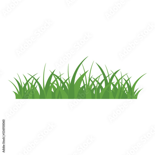Green Grass Isolated on White Background,flowers