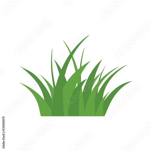 Green Grass Isolated on White Background flowers