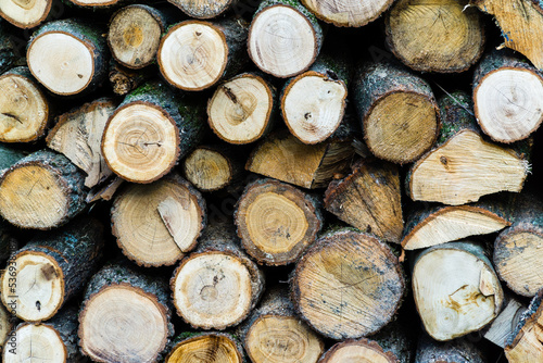 Chopped firewood stacked  winter preparation