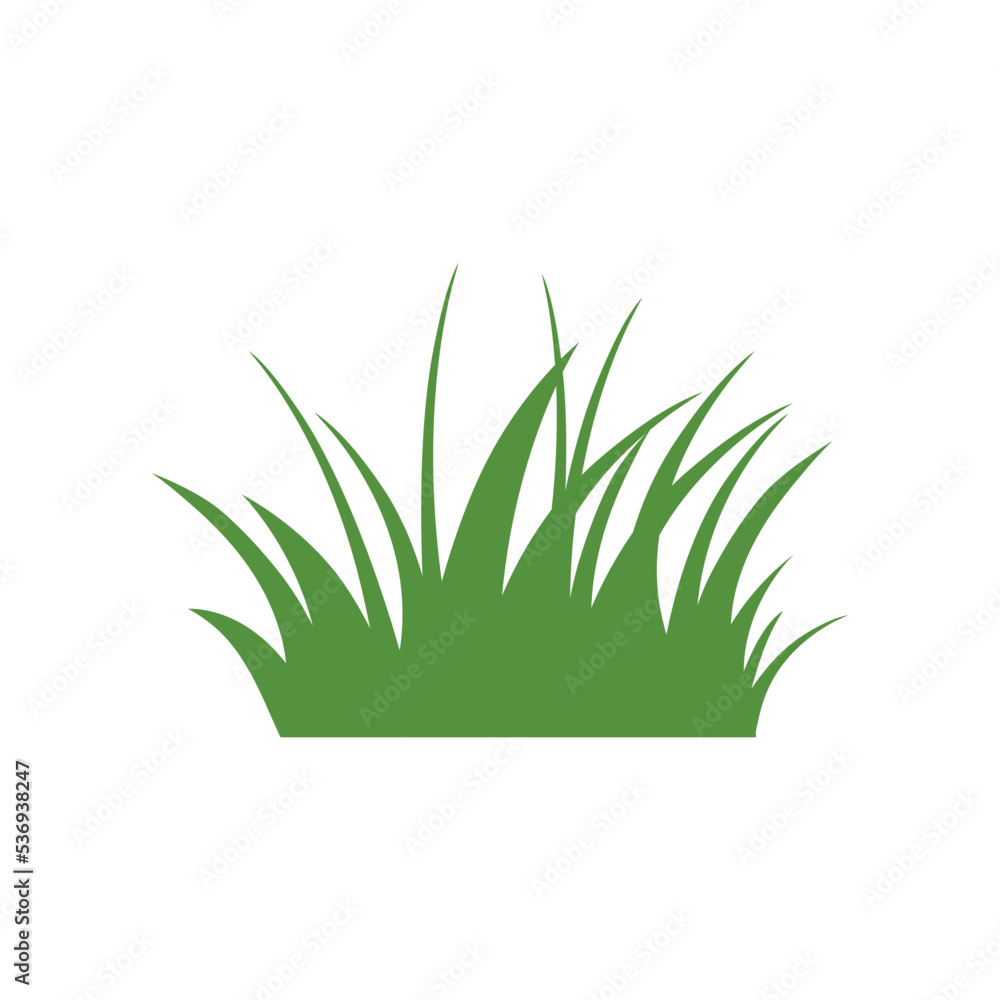 Green Grass Isolated on White Background,flowers Green Grass Isolated on White Background,flowers