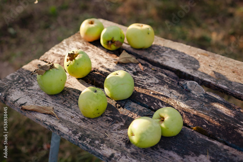 Fresh green apples on an old wooden table. Sunlight  sunset. Outdoors.   oncept harvesting of homemade apples  healthy food  rustic style. Selective focus. Copy space. Top view