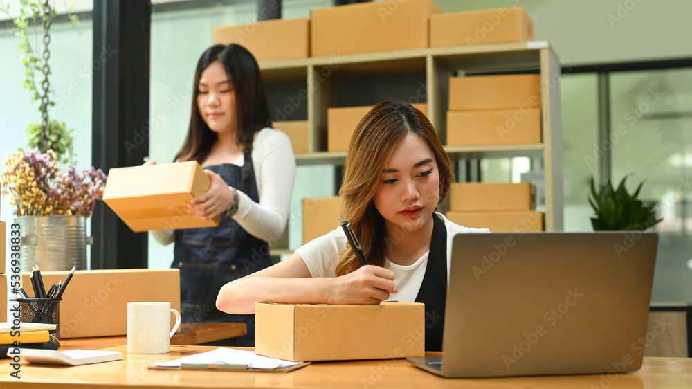 Two young business partner using laptop for checking or accepting orders. Online selling. E-commerce. Online Shopping Two young business partner using laptop for checking or accepting orders. Online selling. E-commerce. Online Shopping