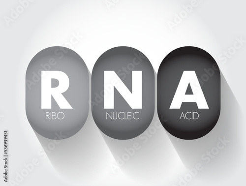 RNA Ribonucleic acid - polymeric molecule essential in various biological roles in regulation and expression of genes, acronym text concept background