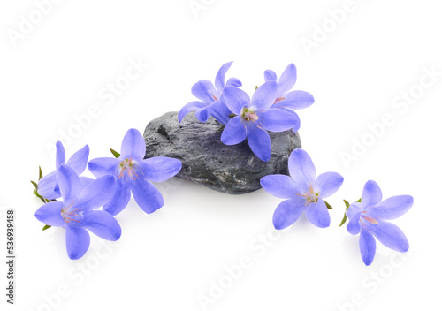 Blue flower arrangement with stone isolated on white background