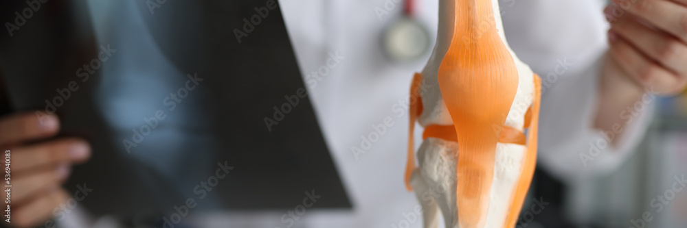 Doctor traumatologist demonstrating bones of knee joint on artificial ...