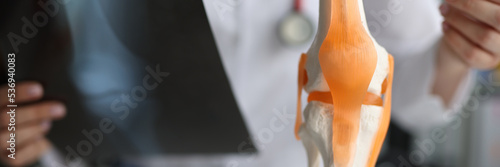 Fotografie Doctor traumatologist demonstrating bones of knee joint on artificial model and