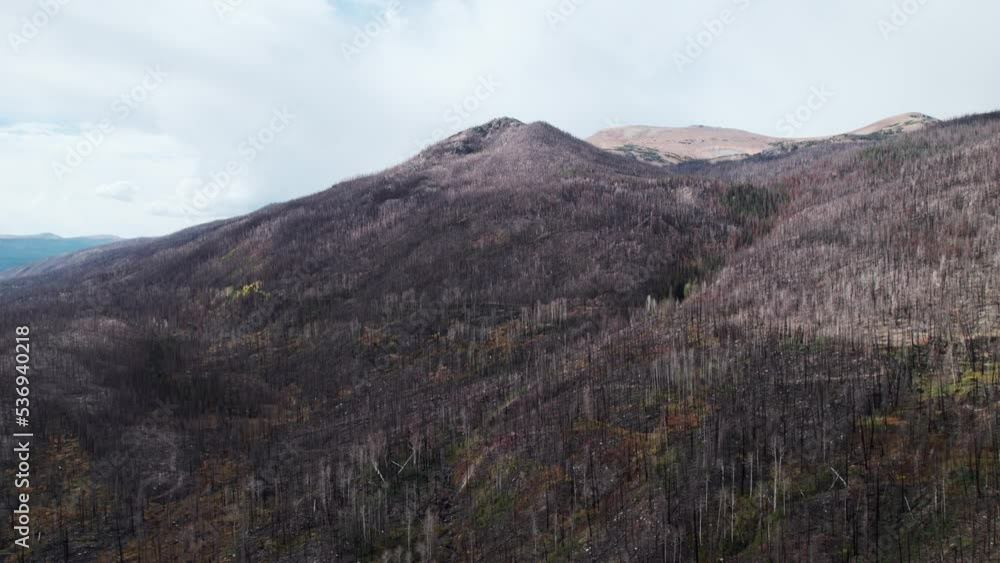 Aerial video of aftermath of Cameron Peak forest fire, Colorado's largest wild fire ever. Aerial video of aftermath of Cameron Peak forest fire, Colorado's largest wild fire ever.