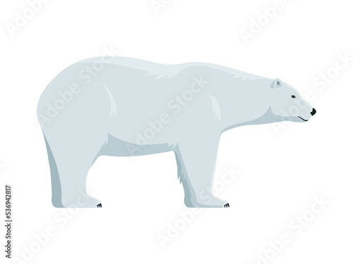 Vector polar bear