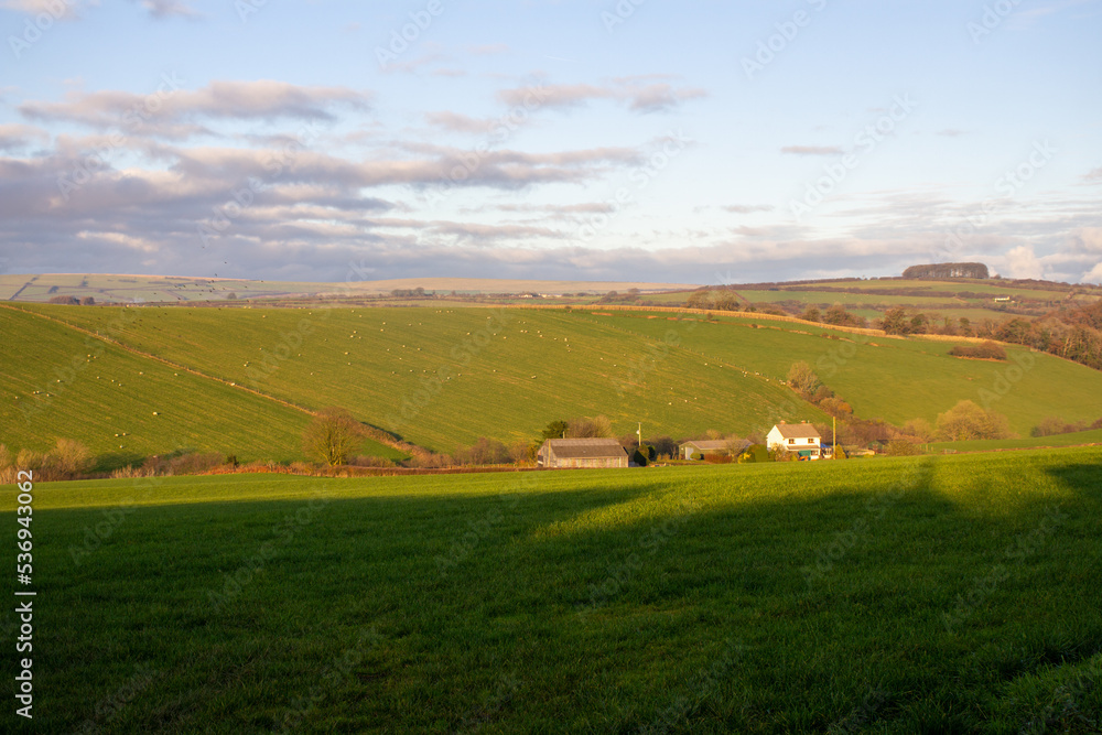 Devon farm land in winter with muddy tracks, green grass, hills and trees in the distance with a hazy blue sky