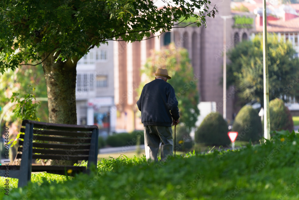 Old man with a cane walking in a park Stock Photo | Adobe Stock