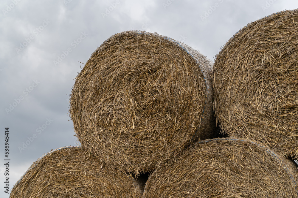 Stack of hay bales (hay balls, haycock or haystack) on a farm field, against cloudy sky. Straw bales on agriculture field. Rural farm land nature, countryside after harvest. Stack of hay bales (hay balls, haycock or haystack) on a farm field, against cloudy sky. Straw bales on agriculture field. Rural farm land nature, countryside after harvest.