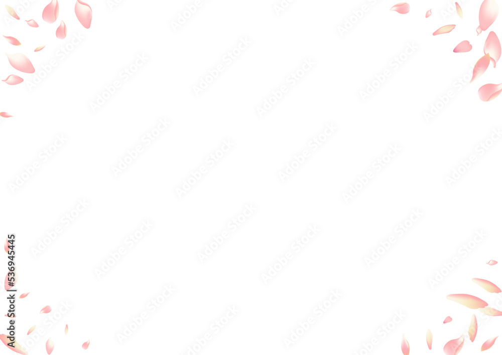 White Rose Petal Vector White Background. Pink