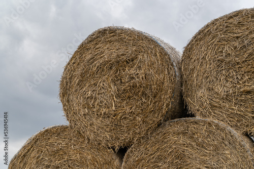Stack of hay bales (hay balls, haycock or haystack) on a farm field, against cloudy sky. Straw bales on agriculture field. Rural farm land nature, countryside after harvest.