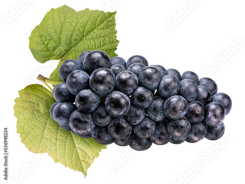 Black Wine grape with leaves on white. Kyoho Grape isolated on white PNG file.
