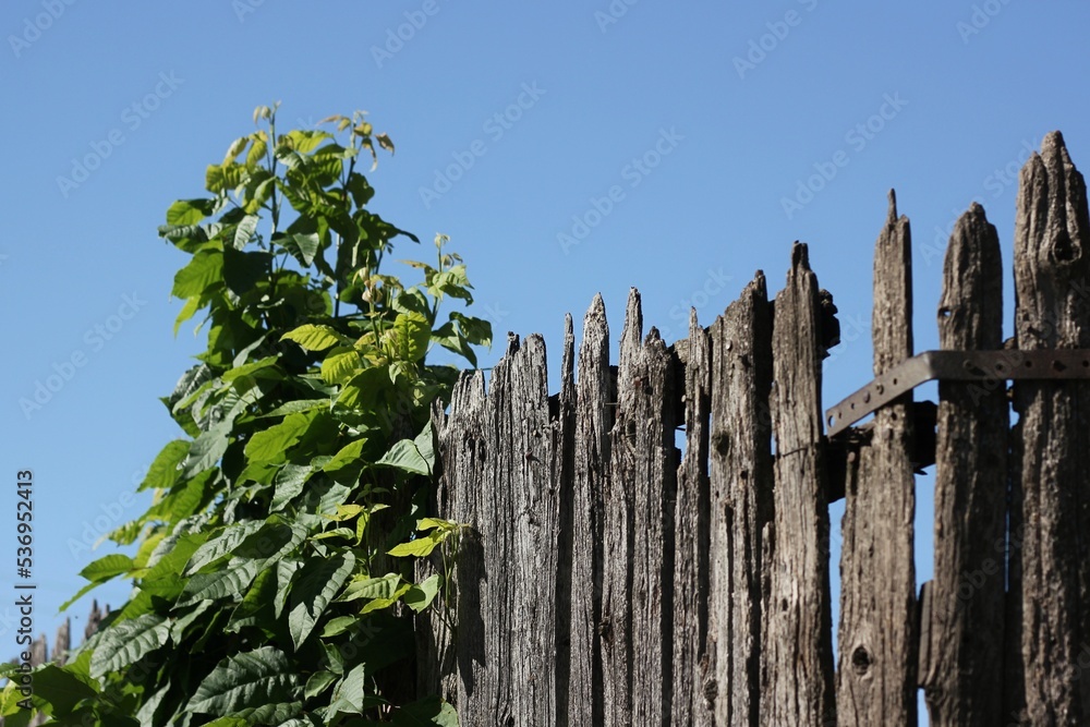 old wooden fence old wooden fence