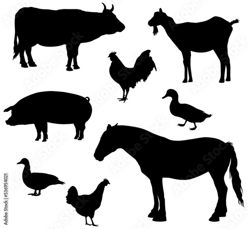 Farm animals silhouettes. Collection of domestic cattle. Illustration set isolated on white.