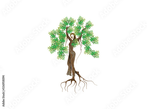 abstract woman tree. dryads tree logo designs
